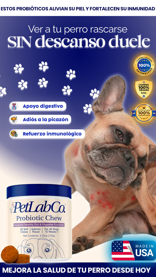 Pet lab Co| robióticos que tu perro ama y su cuerpo necesita.